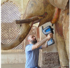 See Agilent Art Conservation in Action!