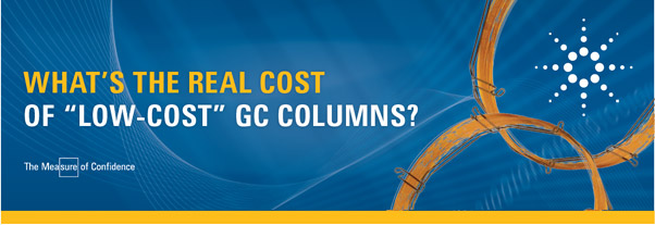 WHAT'S THE REAL COST OF 'LOW-COST' GC COLUMNS