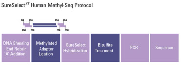 SureSelect Methyl-SeqXT