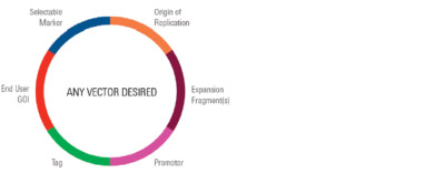 SureVector Next Generation Cloning Kits